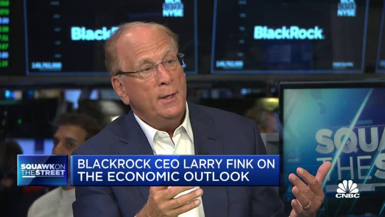 BlackRock CEO Larry Fink on the economic outlook: I believe our economy will accelerate