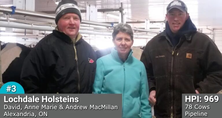 Lochdale Holsteins from Alexandria, Ontario.  placed third nationally in the 2023 Lactanet Awards. The farm is run by David, Anne Marie and Andrew MacMillan.