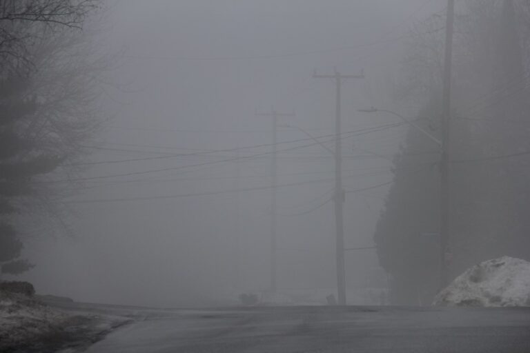 Fog expected to clear this morning: Environment Canada