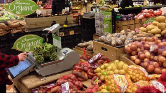 Advocates call for regulations to end food waste in Canada