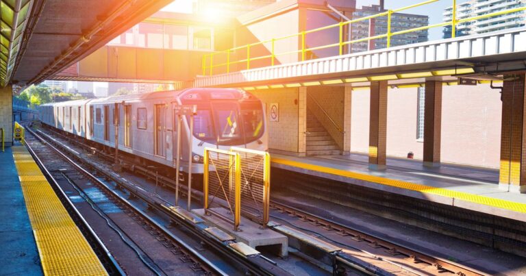 Troublesome raccoon stalls TTC subway service in most Toronto incident ever