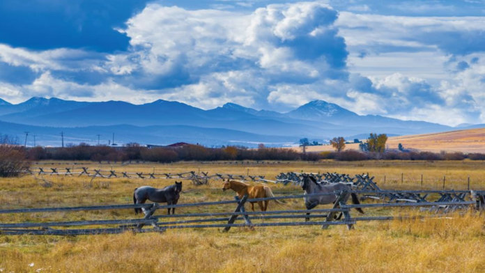 Trophy-property ranches hit the market as more heirs choose to Trophy-property ranches hit the market as more heirs choose to sell