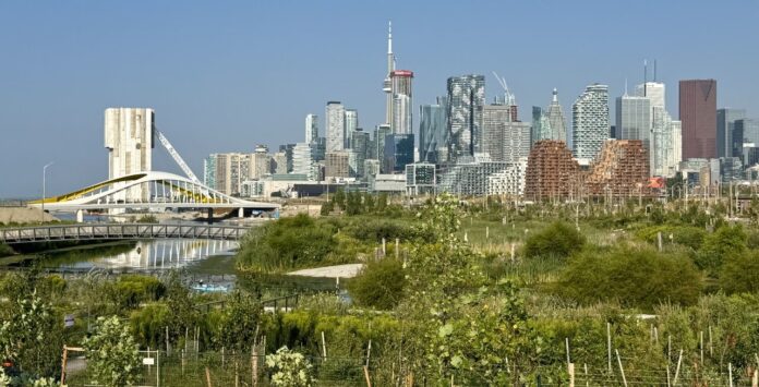 Greener, Grassier | UrbanToronto