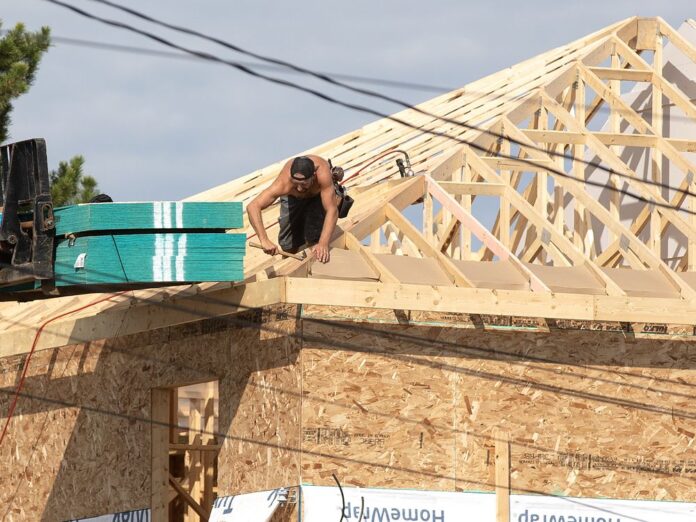 Tree teams work on August 19, 2025 on a three residential building with three secondary suites in the 7323 81 Avenue in Edmonton. 