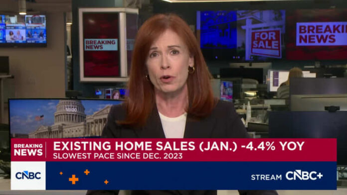 January home sales fell more than 8%