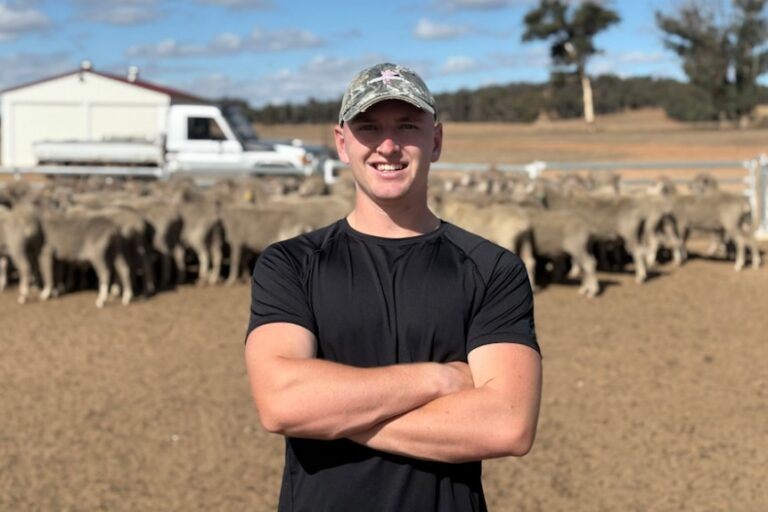 Man stands in front of sheep 
