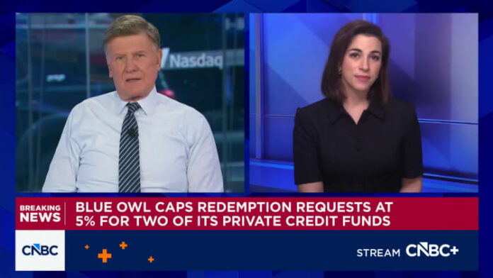 Blue Owl limits private loan fund repayments to 5% after high demand levels