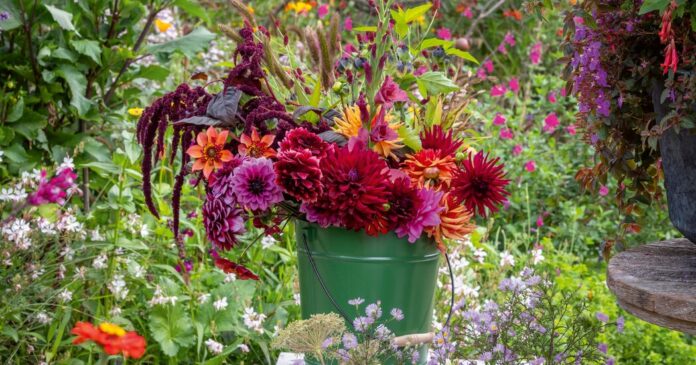 The Sheer Joy of Cut Flowers